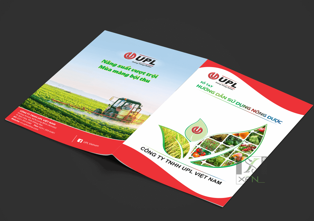 Thiết kế Catalogue