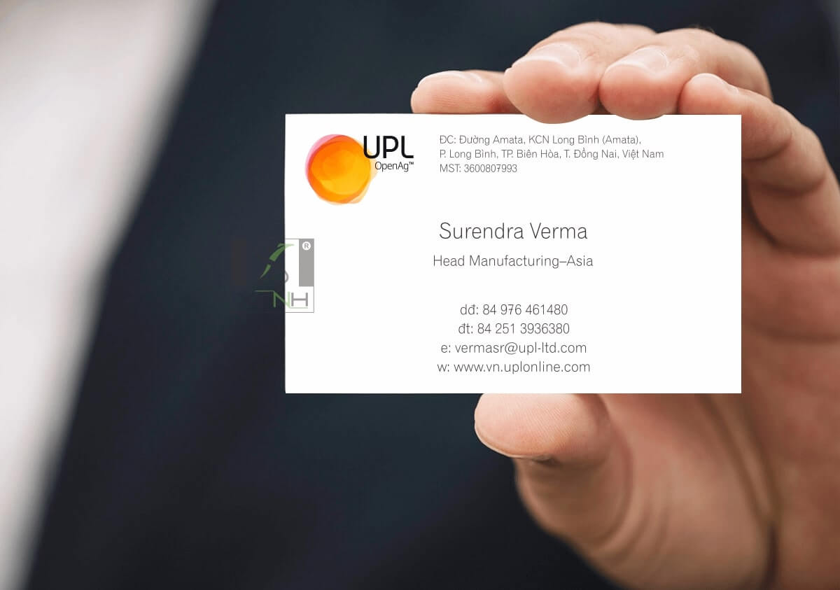 Thiết kế danh thiếp